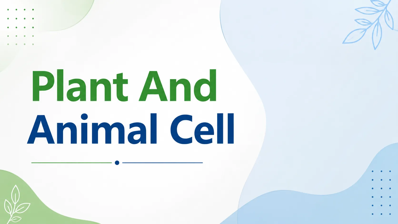 Cells in Plants and Animals